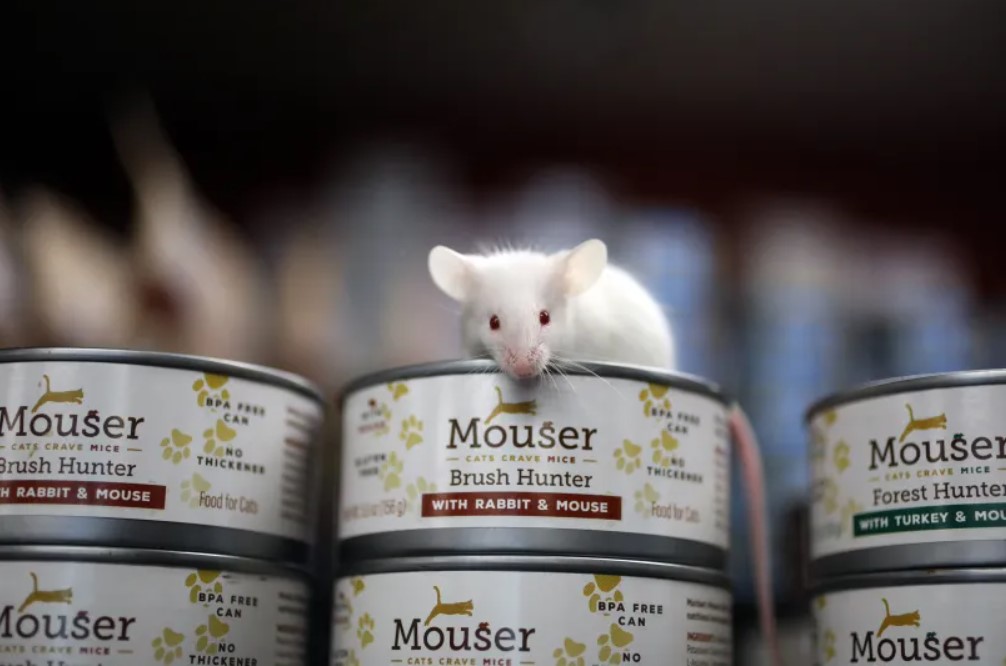 Корм из мышей начали продавать в США